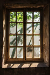Sunlight filtering through an old window, casting shadows of leaves on a rustic wall