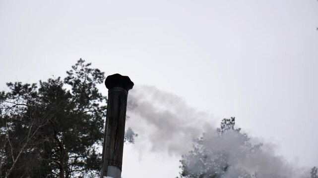 Chrome-plated metal pipe of stove or boiler at home from which smoke comes out against background of sky and large trees in pine forest. Stove heating of country house with firewood. Air pollution.