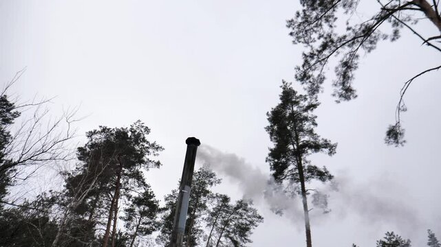 Chrome-plated metal pipe of stove or boiler at home from which smoke comes out against background of sky and large trees in pine forest. Stove heating of country house with firewood. Air pollution.