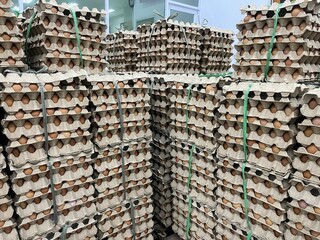 Pile of chicken eggs in egg box. Egg stock in supermarket