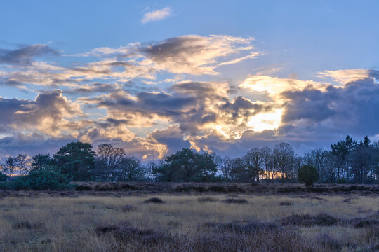 Dramatic sunset over the heathland of Nuilerveld, Pesse, Netherlands - Powered by Adobe