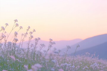 Naklejka premium Pastel sunset over field of wildflowers and distant mountains.