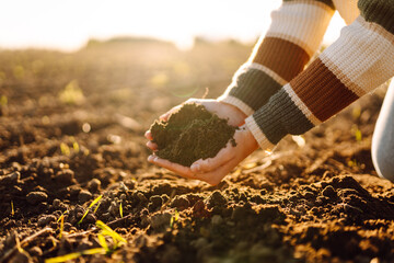 Close- up of the female hands touching dry ground in an agricultural field while analyzing soil...
