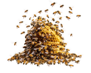 beehive bustling with bees flying around, showcasing their active nature and teamwork. scene captures vibrant life of bees as they work together in harmony