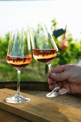 Glasses of rose wine on the vineyard scenery