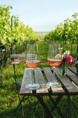 Glasses of rose wine on the vineyard scenery