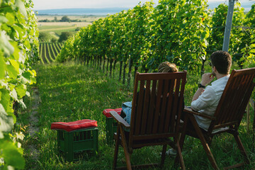 Obraz premium Relaxing vineyard scene