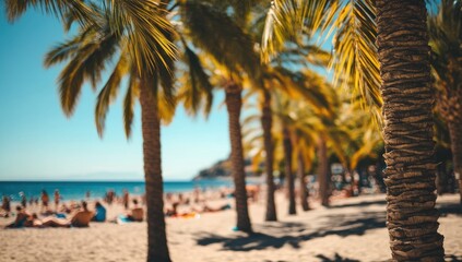 Sunny beach with palm trees and people relaxing.