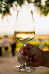 a glass of white wine outdoors