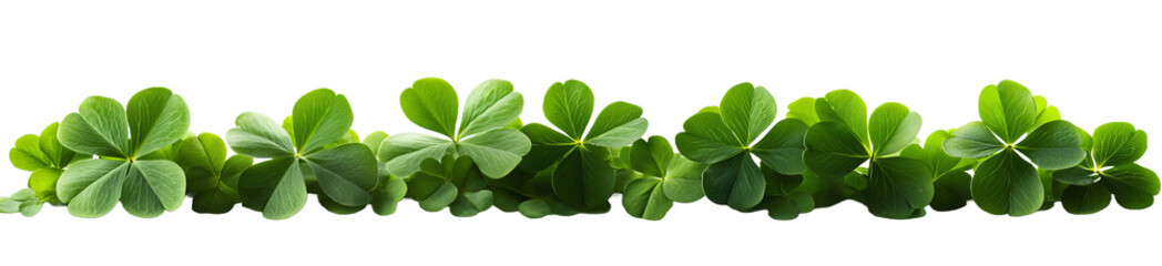 Vibrant Green Border of Clover: A lush, vibrant line of fresh clover leaves, symbolizing luck, growth, and the beauty of nature's simplicity