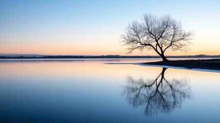 Solitary Tree Reflected in Calm Water During Tranquil Sunrise : Generative AI