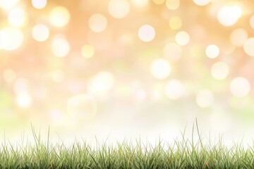 Fototapeta premium Grass background outdoors nature.