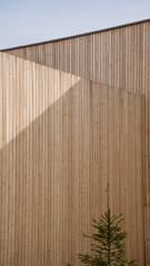 A small evergreen tree stands against a tall wooden wall with vertical slats. A diagonal shadow...