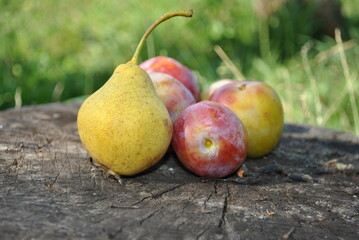 fruit