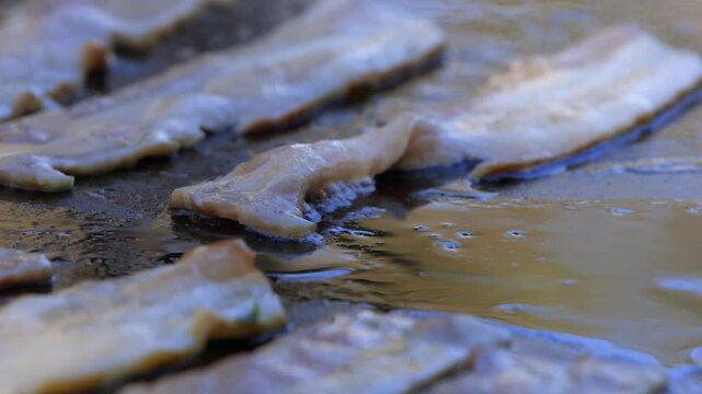 Closeup: Fatty bacon strips fry on hot outdoor griddle, copy space
