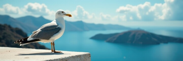 Obraz premium Seagull surveys its kingdom from rooftop peak, beachy, breezy