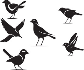 birds silhouette