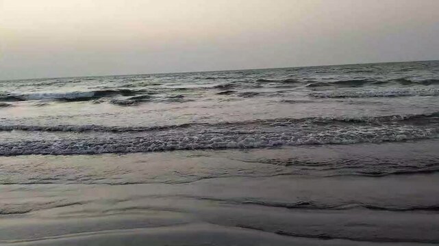 Angle view of sandy beach in dusk with waves rolling on sand and green forest on the right. Water flowing in twilight at sunset outdoors. No people. Cinema 4k ProRes HQ