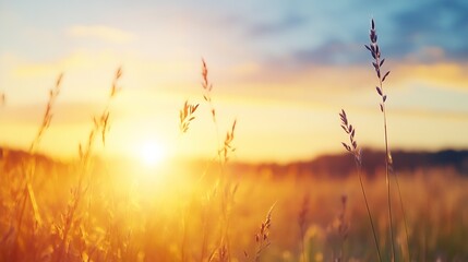 Golden sunset over a serene field showcasing tall grass swaying in the wind : Generative AI