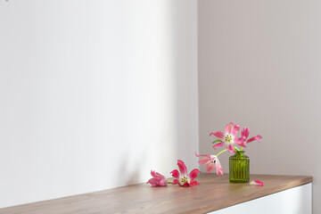 pink tulips in glass green  vase on white background