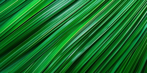 Fototapeta premium Tropical Texture Abstract Background of Lush, Waxy Leaves With Vivid Green Hues, Natural Pattern
