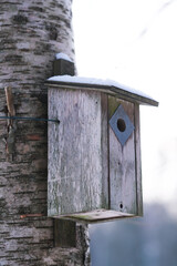 Bird House