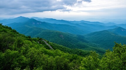 Naklejka premium Breathtaking Mountain Landscape with Lush Green Forest Under Cloudy Sky : Generative AI