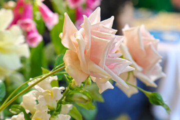 Original flowers made of polymer clay. The most realistic display. Soft focus. Close-up.
