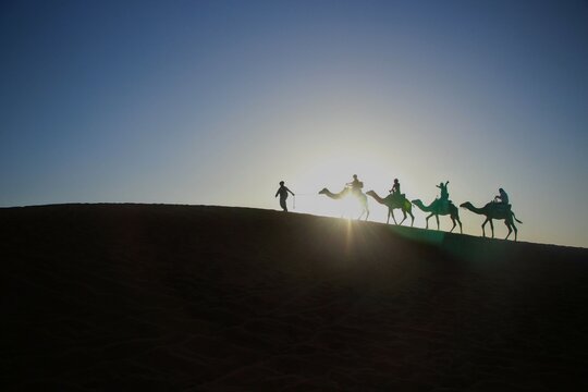 silhouette of a man riding a camel