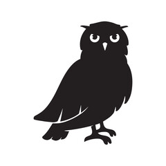 owl on a white background