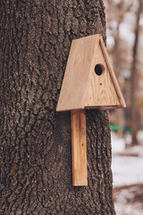A charming wooden birdhouse fixed against a sturdy tree in a serene park, inviting birds to come and make their nests amid the soft whispers of swaying branches