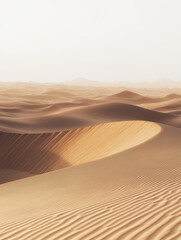 Serene desert landscape with smooth sand dunes during golden hour light