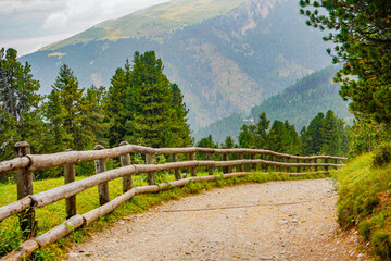 Fototapeta premium mountain road in the alps