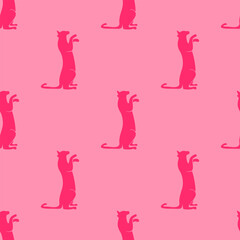 cat pattern background. cat silhouette pattern background. Seamless pattern with silhouettes of cats.