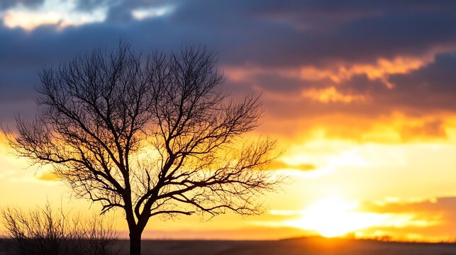 Lonely bare tree silhouetted against a spectacular sunset sky filled with vibrant colors : Generative AI