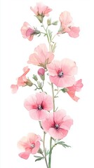 watercolor decoration elements isolated flowers, mothers day