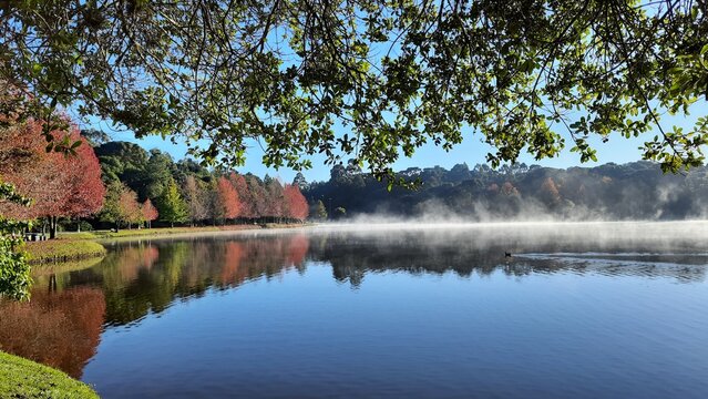 outono em s&atilde;o francisco de paula, rio grande do sul 