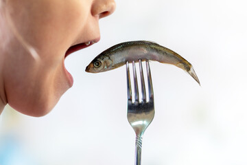 sprat in the hands, salty and fresh on white background. open mouth is eating fish.