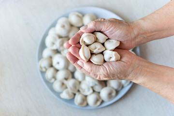 Asian-style dumplings prepared with hands on gourmet plate. view from above , top view