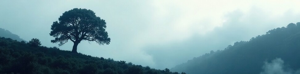 Fototapeta premium Dark and misty forest with a black outline tree against white clouds, mystique, nature, cloud
