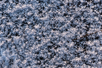 Zimowe tło, lodowe kwiaty na zamarzniętym stawie, mróz luty 2025.