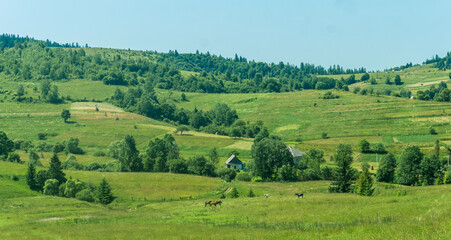 Mountain View near Pilipets Village, Carpathians: Sunny Summer Day