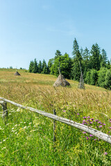 Mountain View near Pilipets Village, Carpathians: Sunny Summer Day