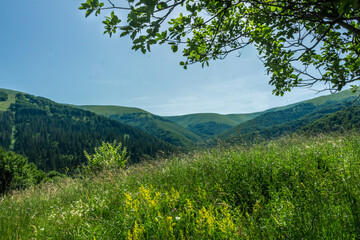 Mountain View near Pilipets Village, Carpathians: Sunny Summer Day