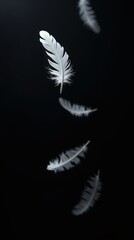 Obraz premium feathers, high-contrast, photograph, white, suspended, mid-air, dark, black sky, floating, depth of field, delicate, textures, cinematic, grain, wonder, mystery, dramatic, nature, beauty, softness, et