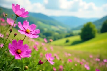 pink cosmos flowers swaying in the breeze amidst a lush green landscape, cosmos, branches, landscape