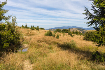 Autumnal Splendor: Carpathian Mountains in Early Fall