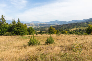 Autumnal Splendor: Carpathian Mountains in Early Fall