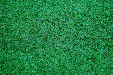 Spruce needles background. Background of a pile of spruce needles close-up. Carpet of many spruce needles. Pattern of green coniferous needles, top view.