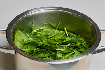 fresh spinach with water droplets ready to be cooked